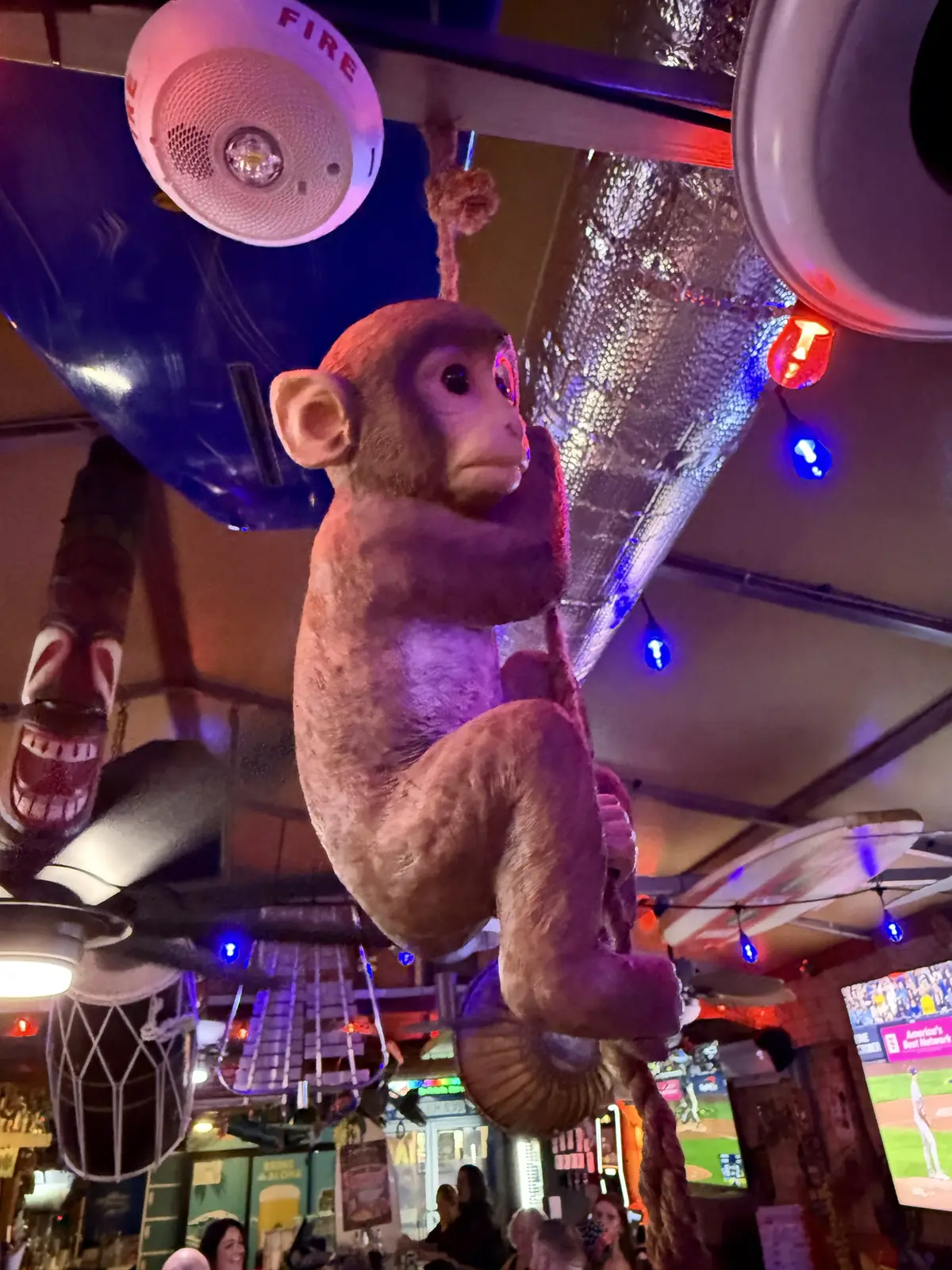 Our ceiling has a monkey